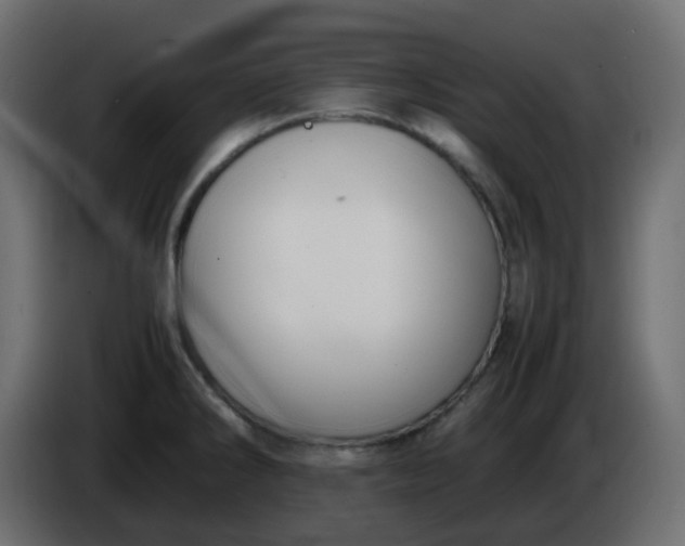 X0000086331286200704131709