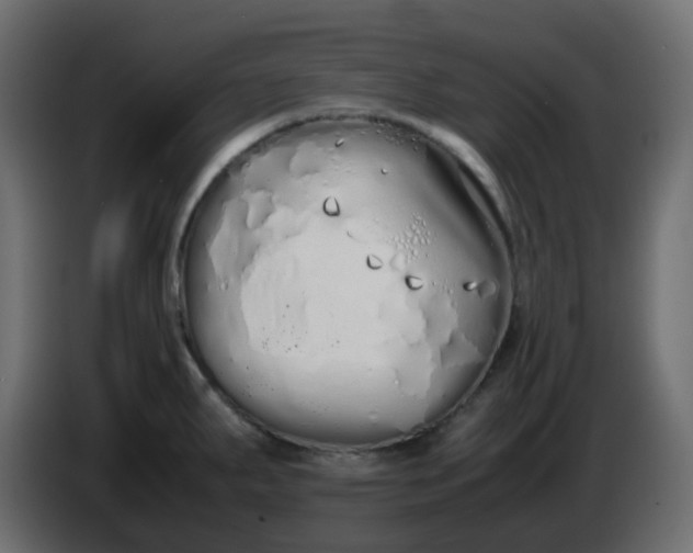 X0000086331287200704131709