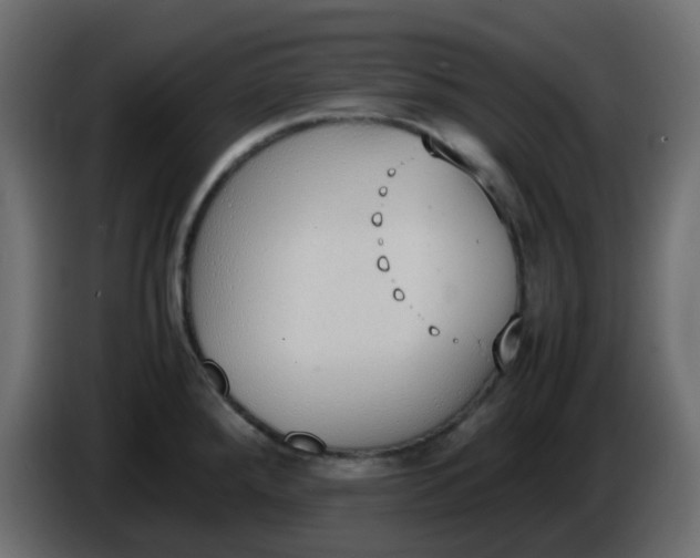 X0000086331288200704131709