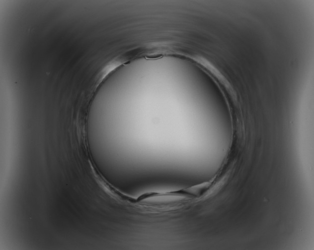 X0000086331289200704131709