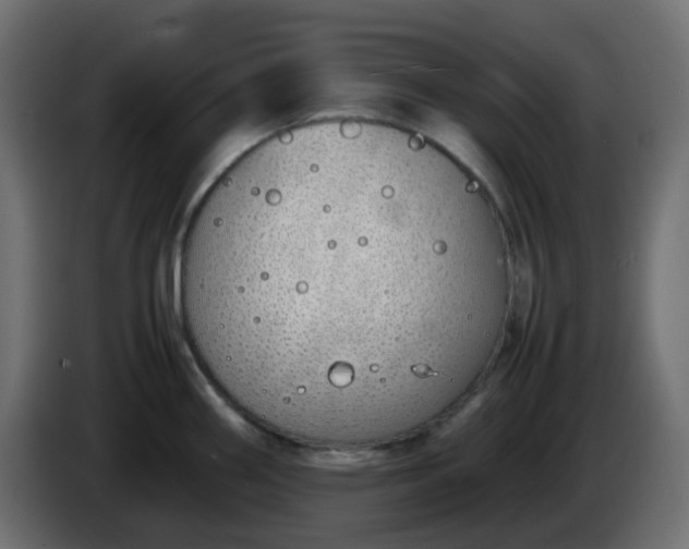 X0000086331290200704131709