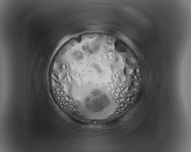 X0000086331291200704131709