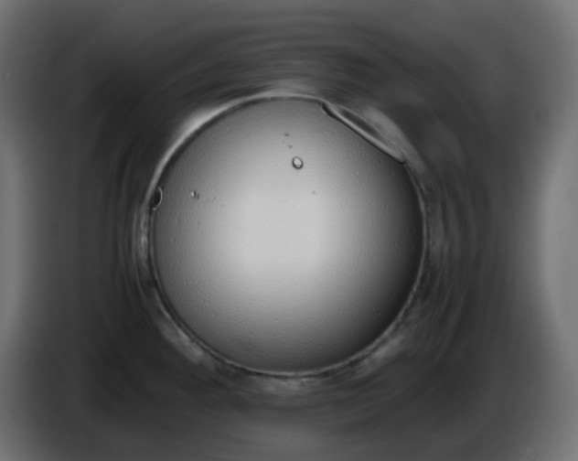 X0000086331292200704131709