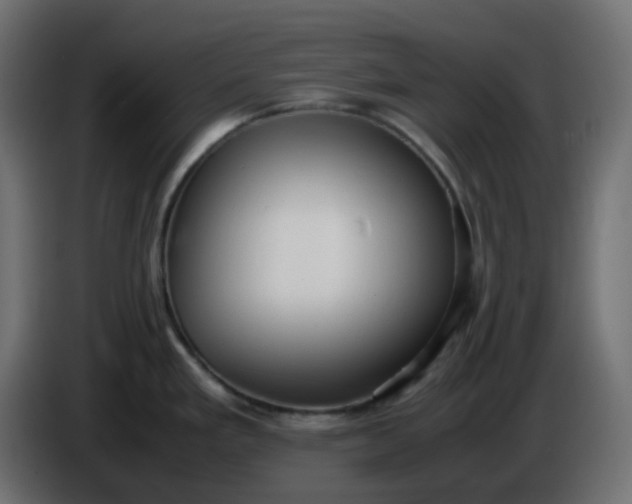 X0000086331293200704131709