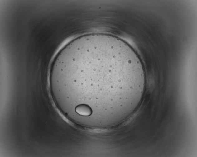 X0000086331294200704131709