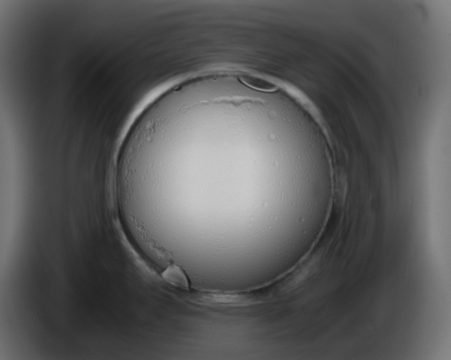 X0000086331295200704131709