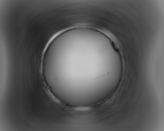 X0000086331296200704131709