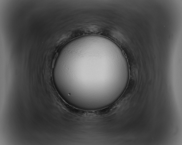 X0000086331297200704131708