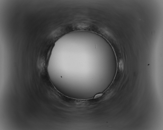 X0000086331299200704131708