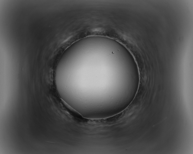 X0000086331301200704131708