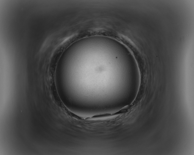 X0000086331303200704131708