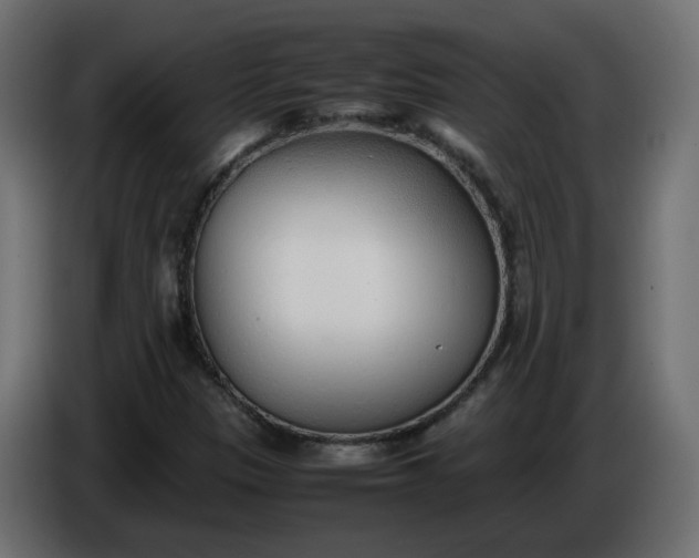 X0000086331305200704131708