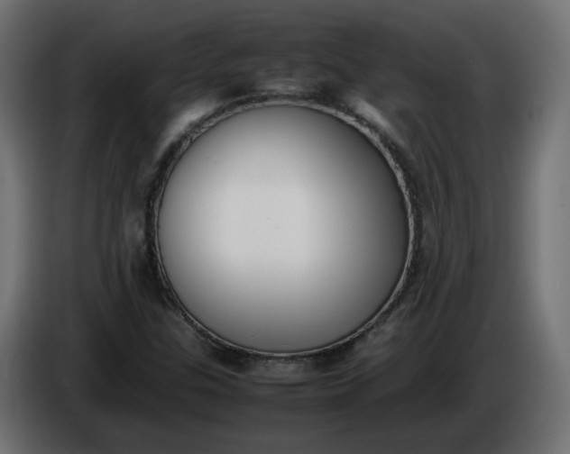 X0000086331307200704131709