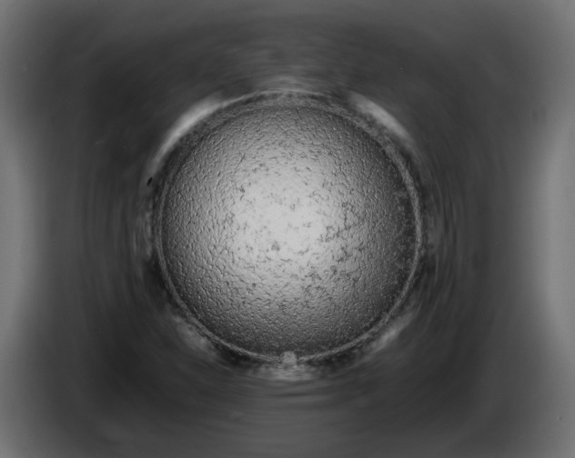 X0000086331310200704131709