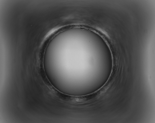 X0000086331311200704131709