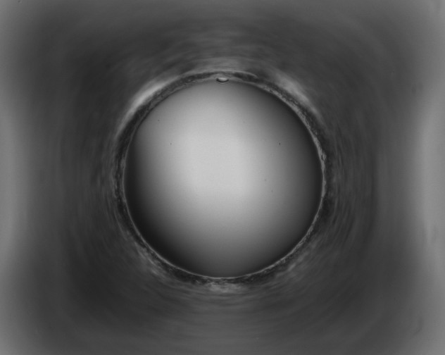 X0000086331312200704131709