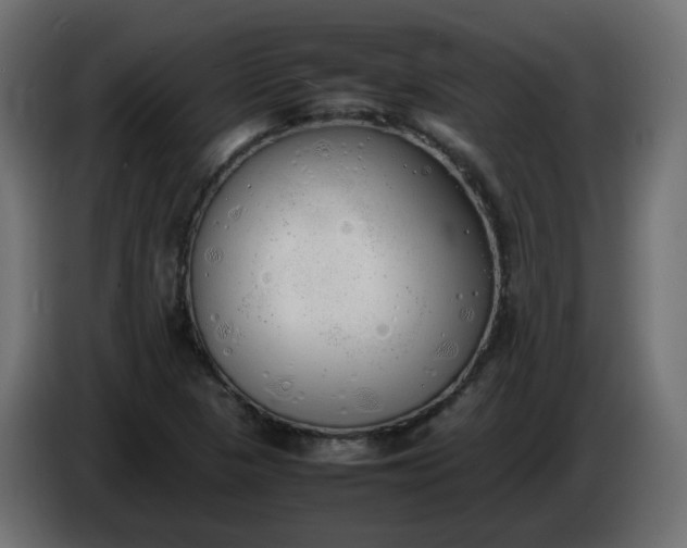 X0000086331313200704131709