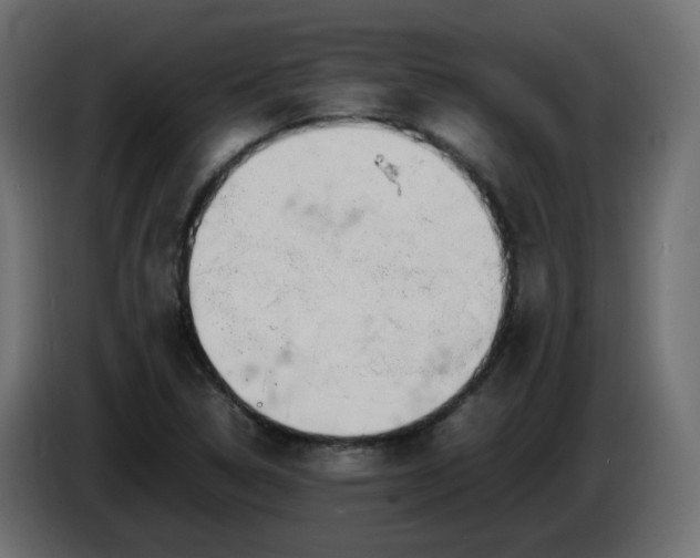 X0000086331314200704131709