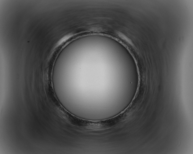 X0000086331315200704131709