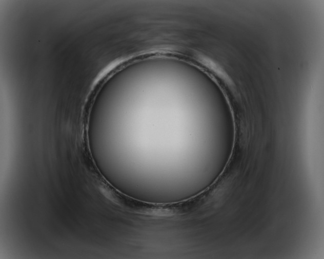 X0000086331316200704131709