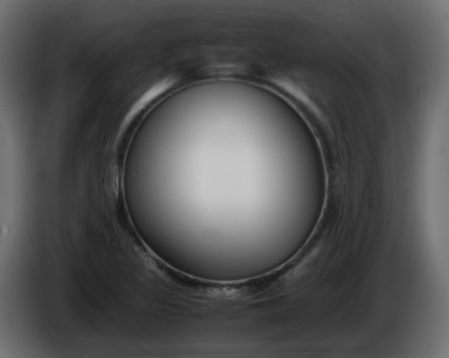 X0000086331317200704131709