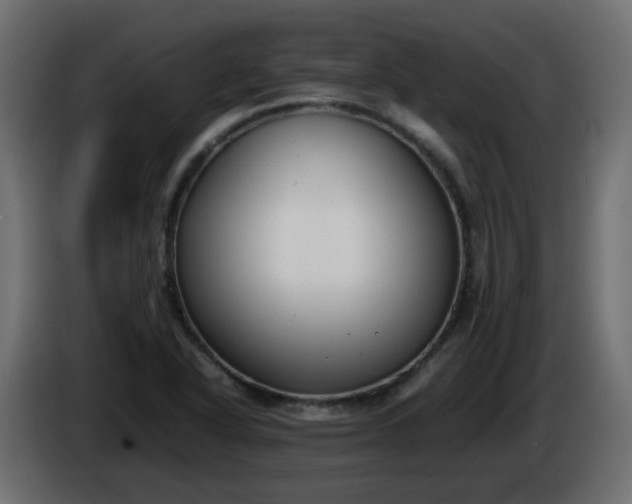 X0000086331318200704131709