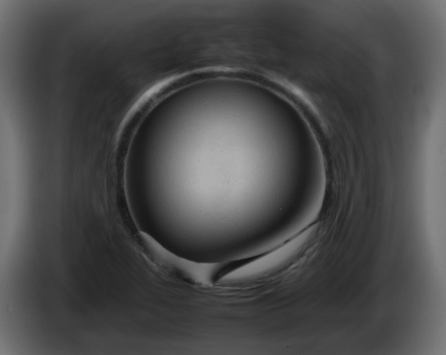 X0000086331319200704131709