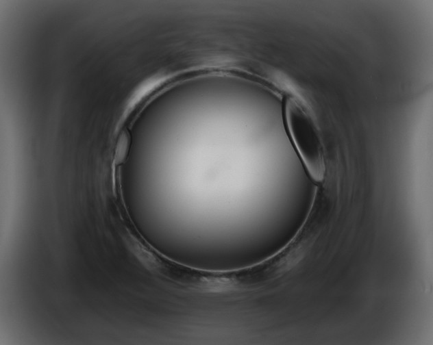 X0000086331320200704131709