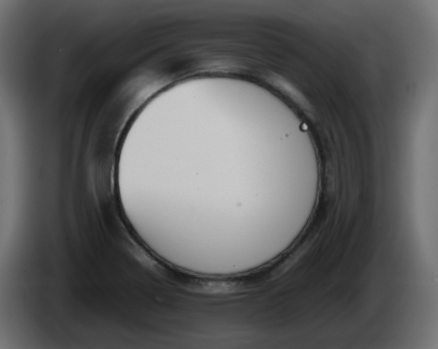 X0000086331322200704131709