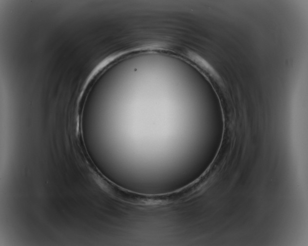 X0000086331324200704131709