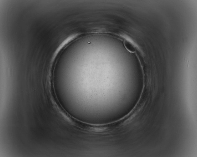 X0000086331325200704131709