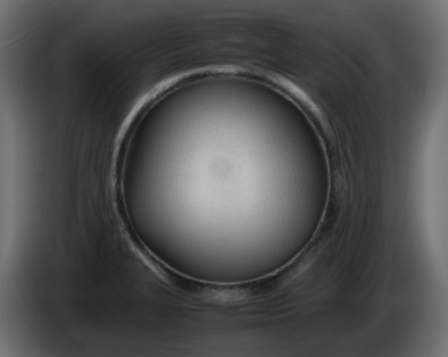 X0000086331327200704131709