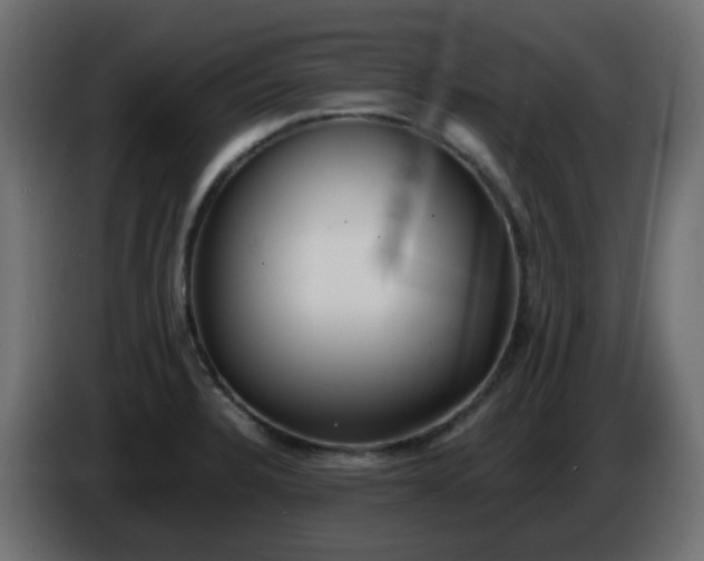 X0000086331328200704131709