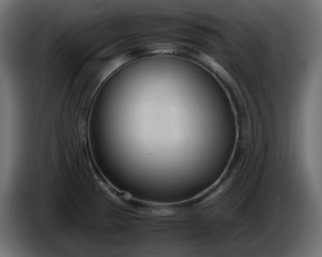 X0000086331329200704131709