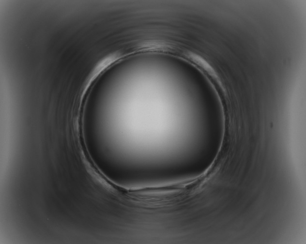 X0000086331330200704131709