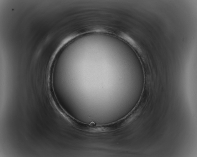 X0000086331331200704131709