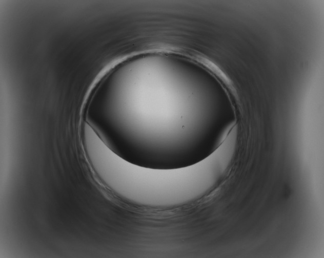 X0000086331332200704131709