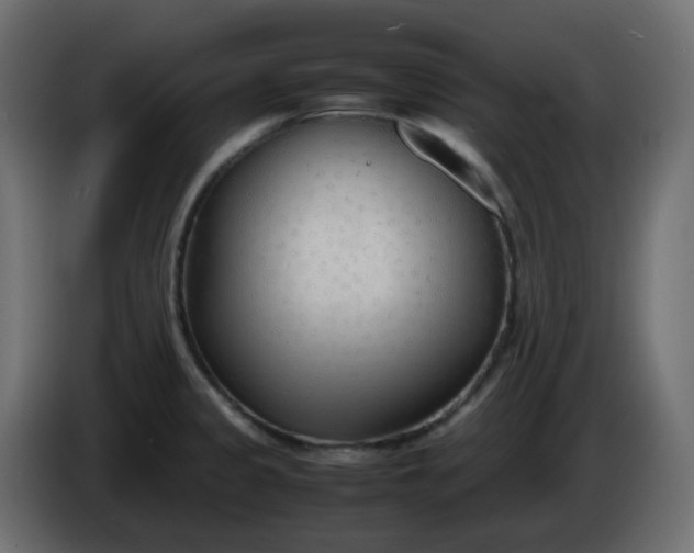 X0000086331333200704131709