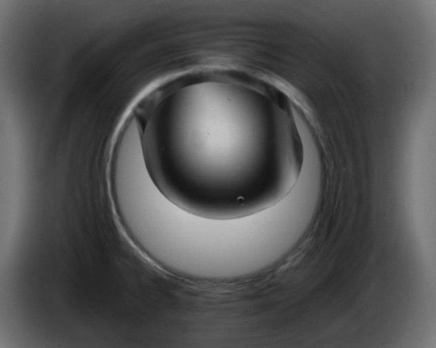 X0000086331334200704131709