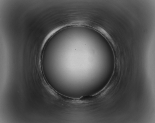 X0000086331336200704131709