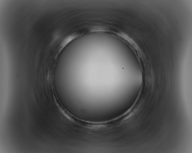 X0000086331337200704131709