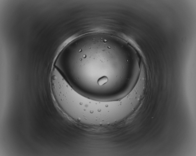 X0000086331338200704131709