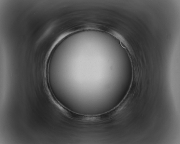 X0000086331339200704131709