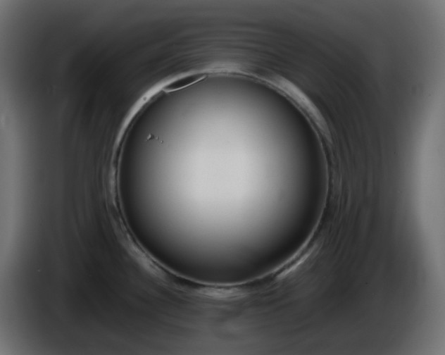 X0000086331340200704131709