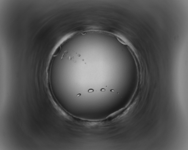 X0000086331341200704131709