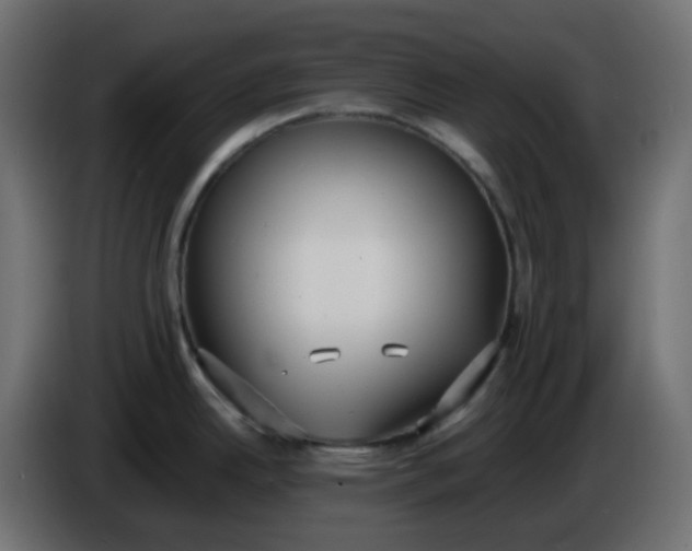 X0000086331342200704131709