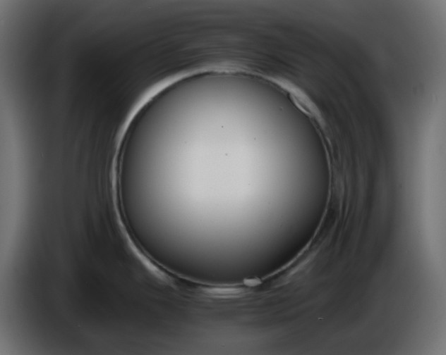 X0000086331343200704131709