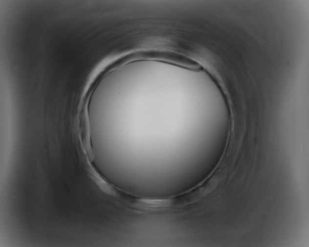 X0000086331344200704131709