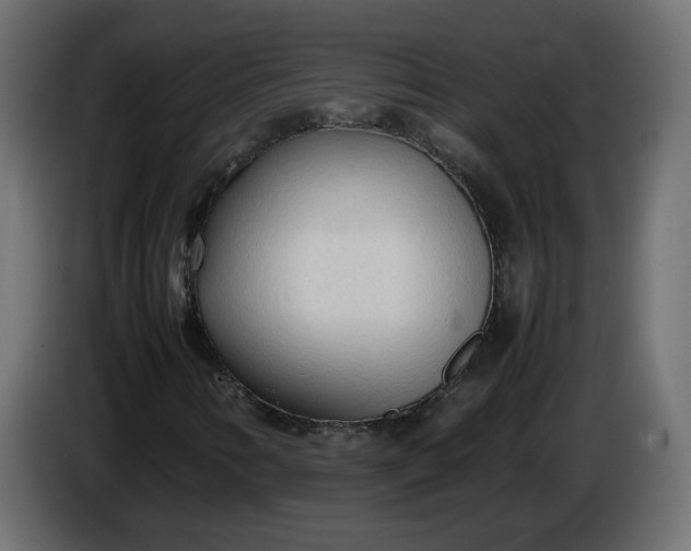 X0000086331346200704131708