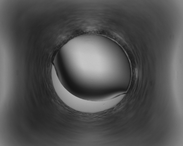 X0000086331348200704131708